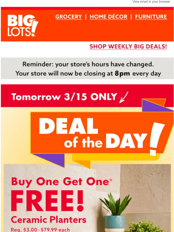 Big Lots BOGO FREE ceramic planters starts TOMORROW! 🪴 Milled
