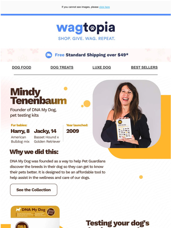 Female Founder: Mindy from DNA My Dog