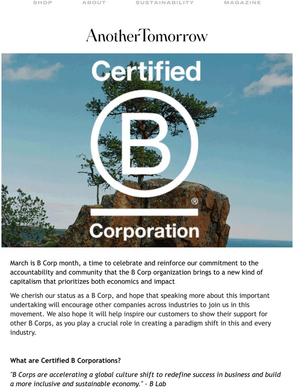 Celebrating B Corp Month