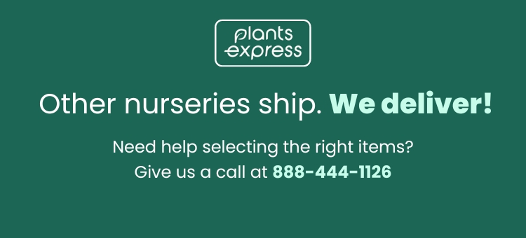 Plants Express