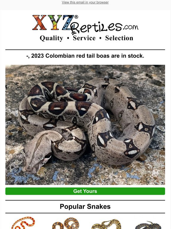 🐍2023 Baby Colombian Red Tails In Stock Now