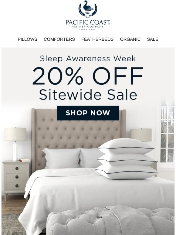 Pacific Coast Feather Company Cushion Your Shoulders, Back and Hips