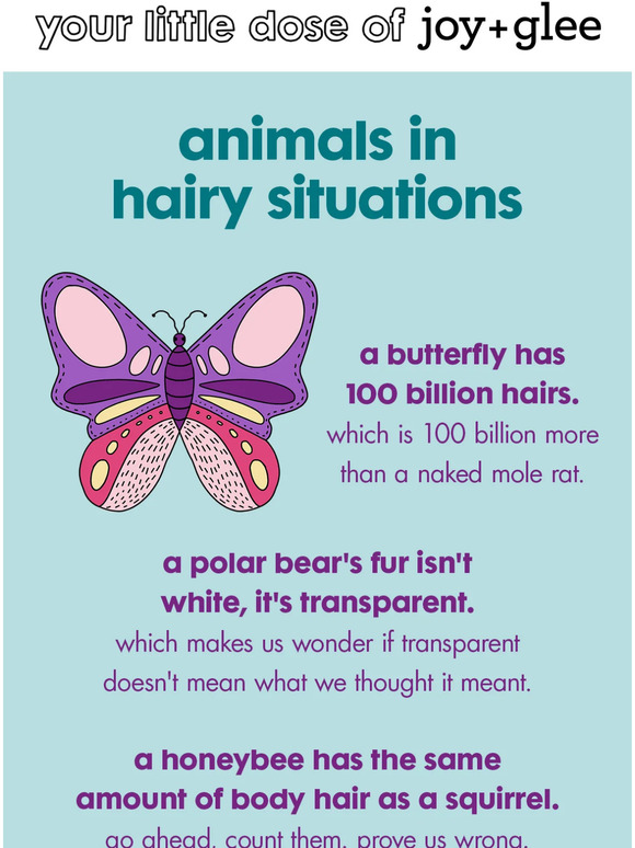 bears, bees, and butterflies