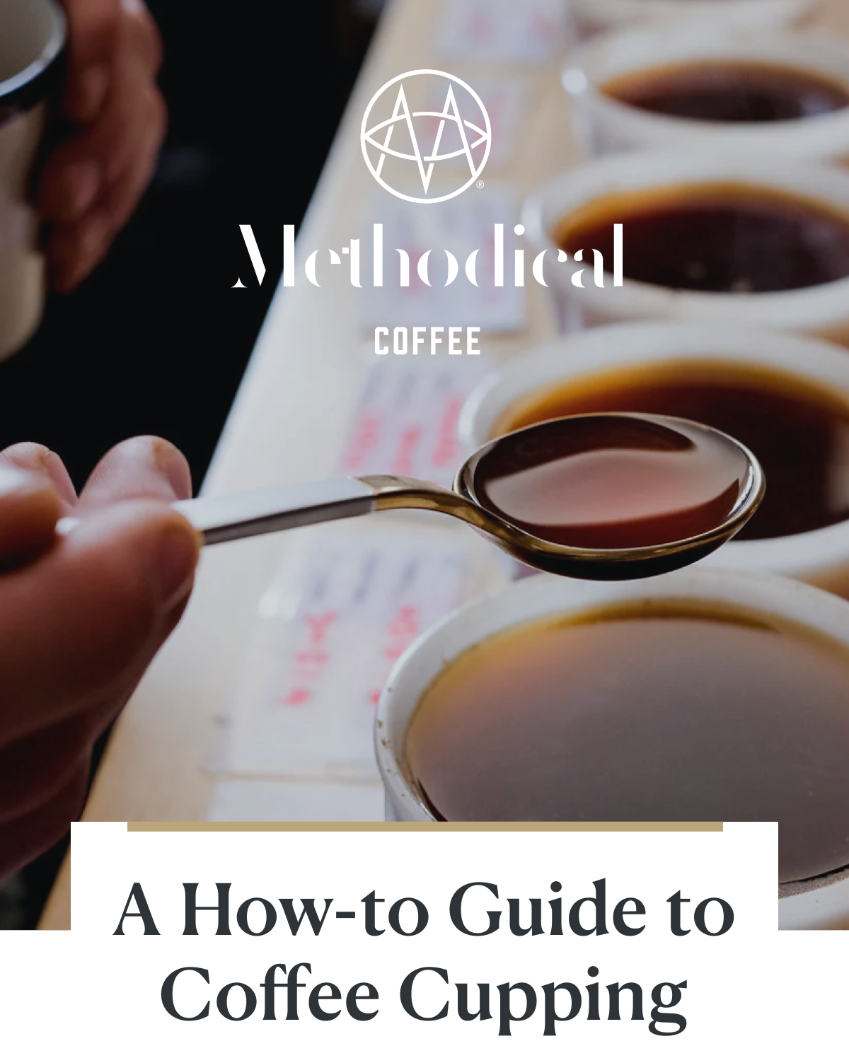 Methodical Coffee ☕️ Coffee Cupping A Step By Step Guide Milled