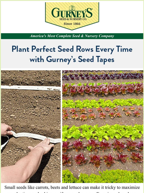 Gurney S Seed And Nursery Seed Tapes Make Planting A Pleasure Milled