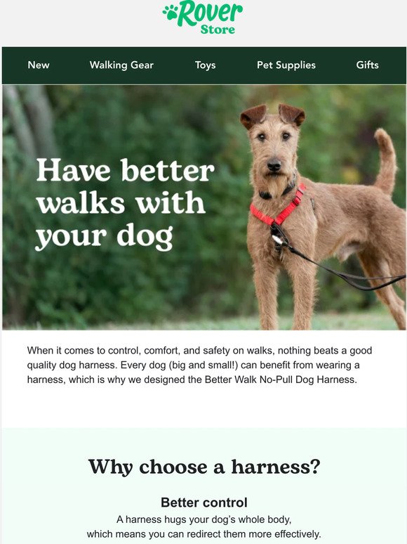 Why a harness is a great choice for every dog