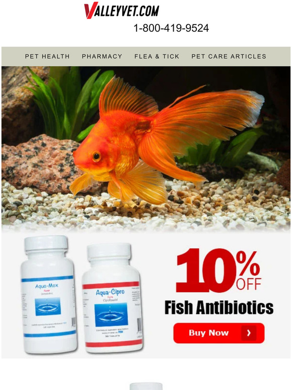 10% OFF 🐠 Antibiotics