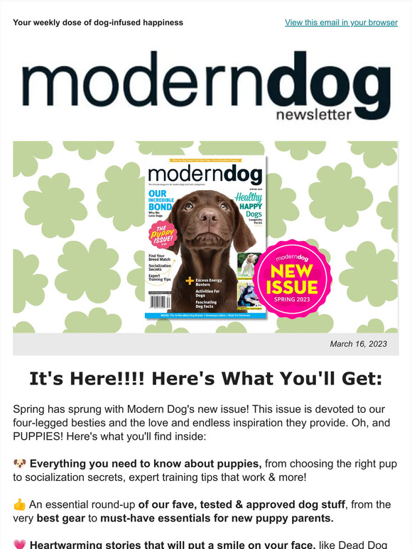 Sprocket Shueey  Modern Dog magazine