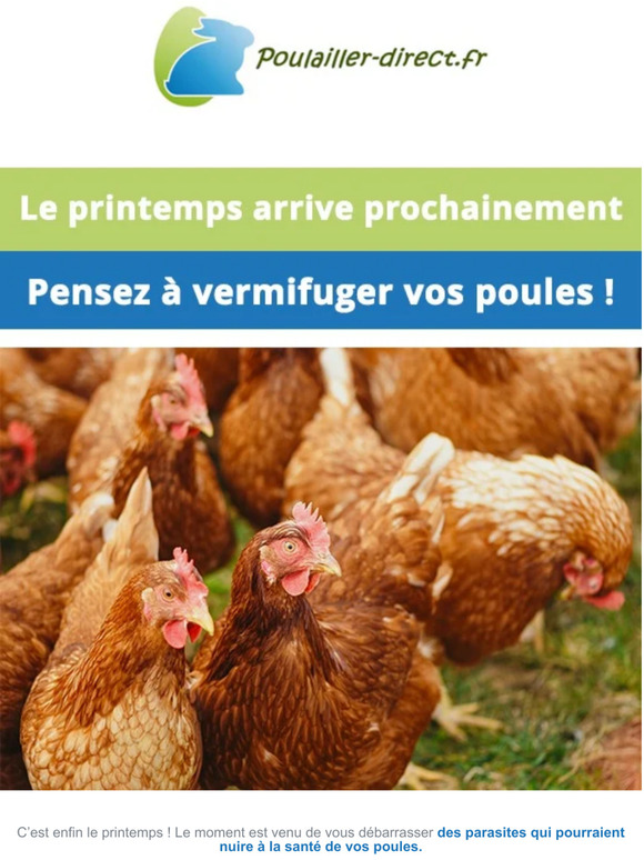 Nos astuces pour vermifuger facilement vos poules🐔