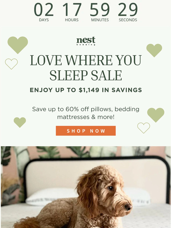 Love Where You Nest Sale Ends Soon!