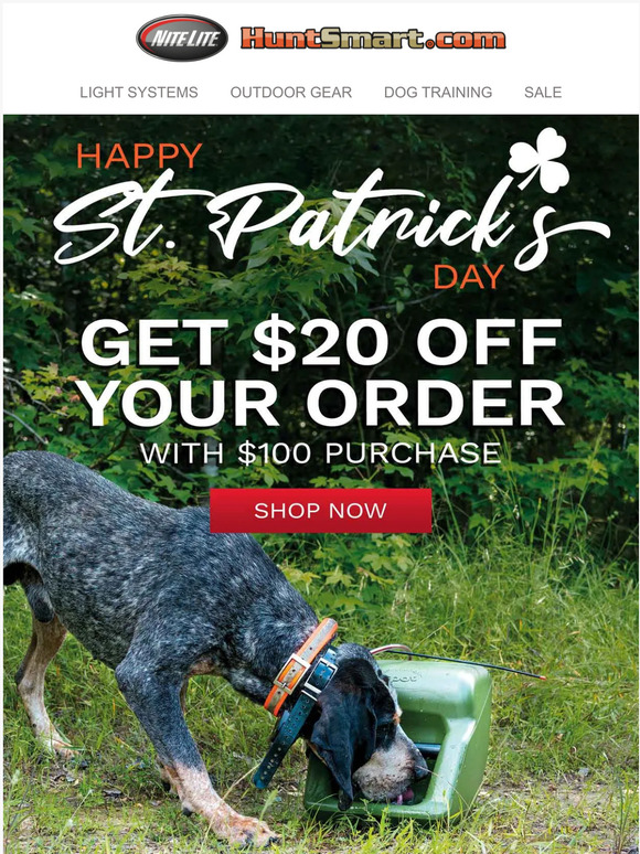 ☘️ St Patrick's Day Sale