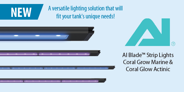 NEW! AI Blade Strip Lights