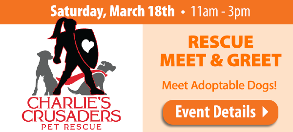 Charlie's Crusaders Meet & Greet | March 18th | 11am -3pm| See Event Details