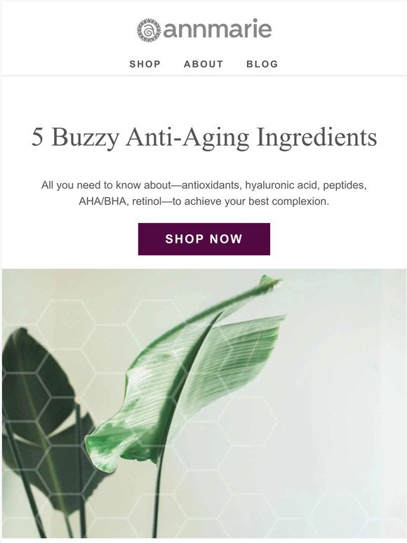 5 anti-aging buzzwords explained