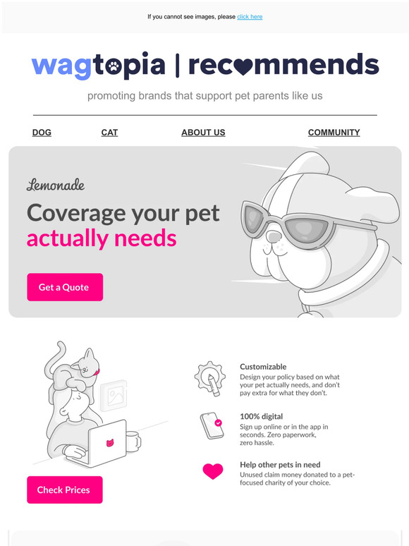 Protect Your Pet from the Unexpected