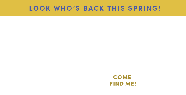  Golden Gnome Scavenger Hunt* - Learn More ›