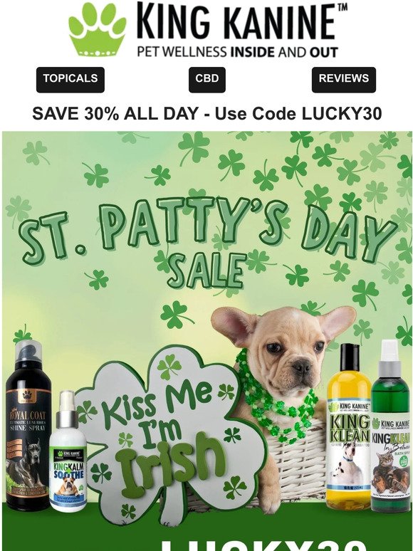 🐩☘️🐩 Last Chance for 30% OFF! 🐩☘️🐩