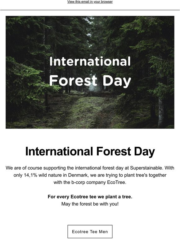 Happy International Forest Day 🌳