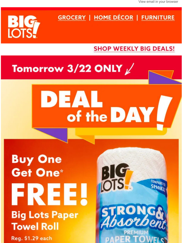 Big Lots Plan your trip 🚗 BOGO FREE Big Lots paper towels in stores
