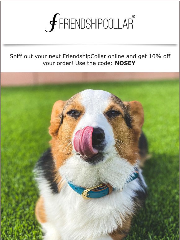 We NOSE your BFF needs this!😊