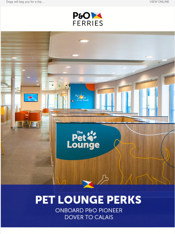 🐶 Our biggest lounge yet for dogs on their travels ⛴️