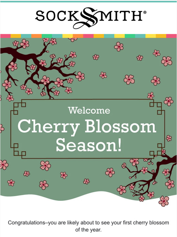 Blossoms are bursting