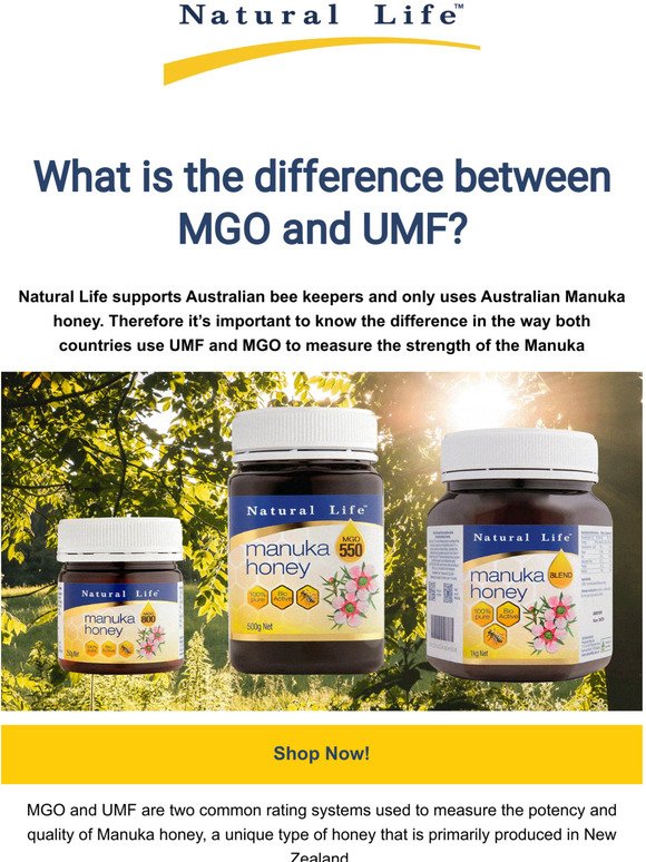 What is the difference between MGO and UMF? 🍯