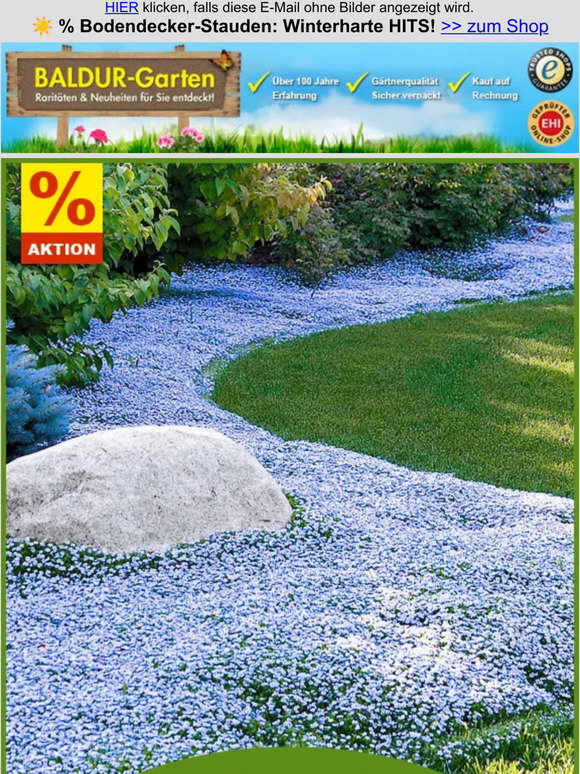 Schwamm Blumen Landschaft 4x Künstliche Bodendecker-Blumen-Modelle Für Landschaftsmodellbau – Eisendraht & Schwamm, Höhe 6,5 Cm, Grün/bunt