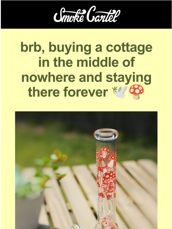 brb: embracing my cottagecore dreams ☀️