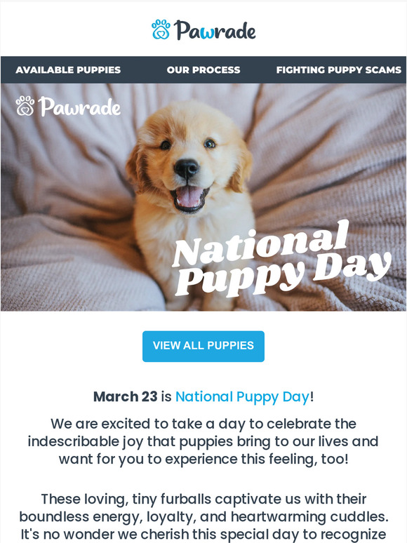 🐶Celebrate National Puppy Day with our Adorable Puppies! 🐾