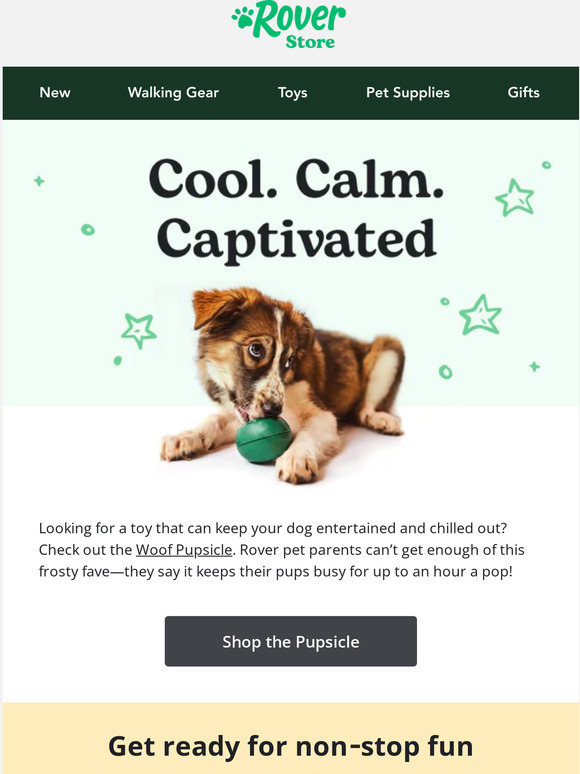 Ready to keep your dog entertained for hours?