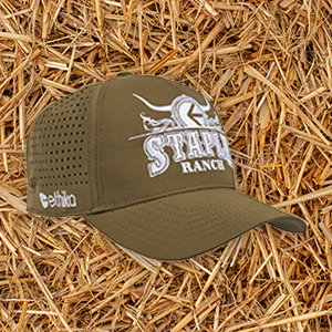 Ethika - Staple Ranch Dad Hat