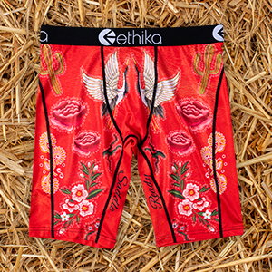 Ethika - Rhinestone Cowboy