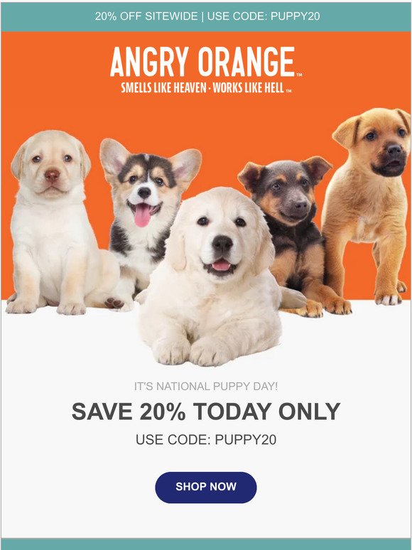 Puppies and 20% Off Inside!