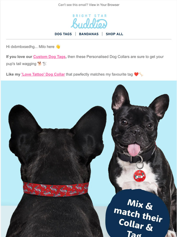 Bright Star Buddies: The Cutest Collars for the Cutest Pups 😍 | Milled