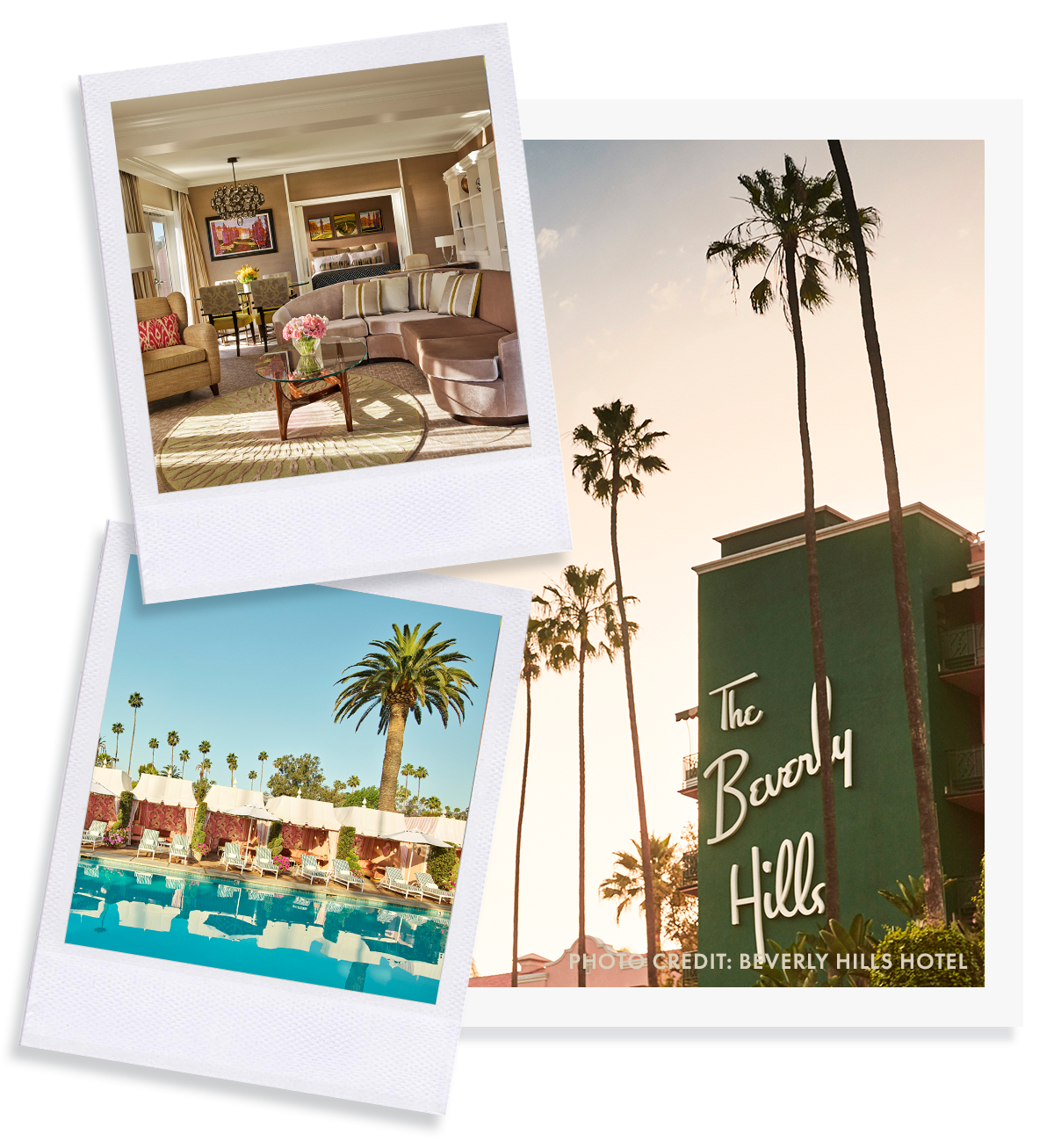 SHOP THE EDIT
