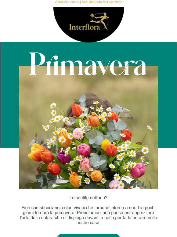 La primavera è tornata! 🌱