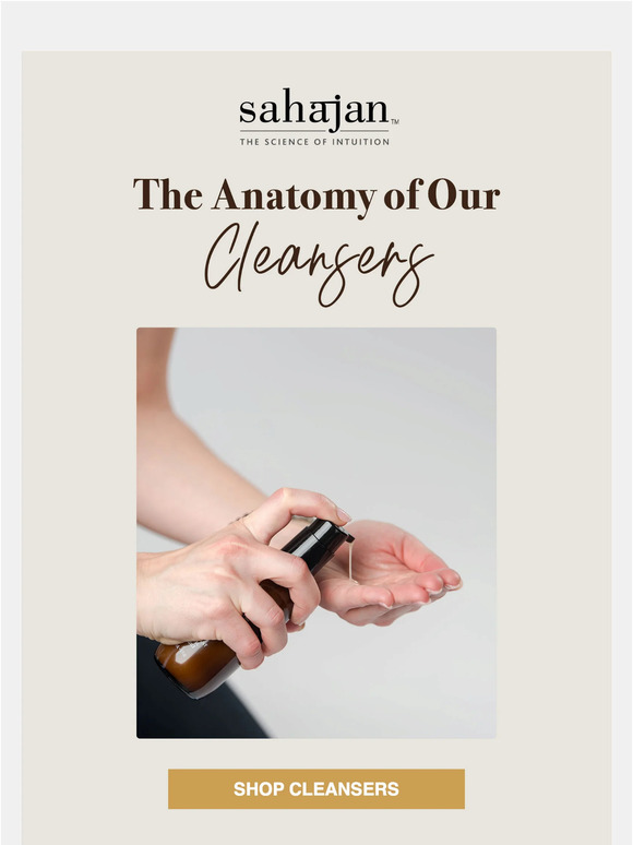 The Anatomy of Our Cleansers ⭐