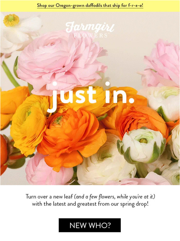 Farmgirl Flowers how 📖 novel Milled