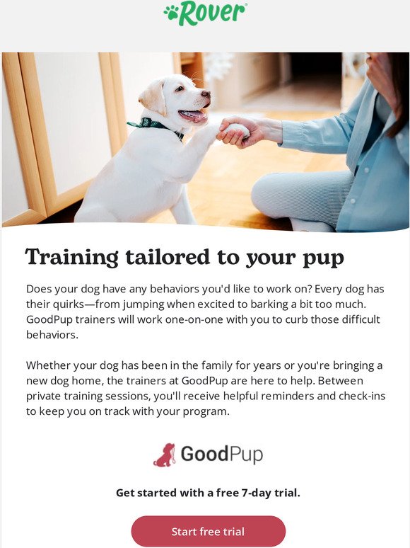 Try dog training customized for your dog