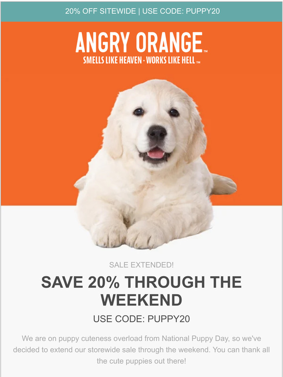 Sale extended, thanks to all the cute puppies out there 🐶