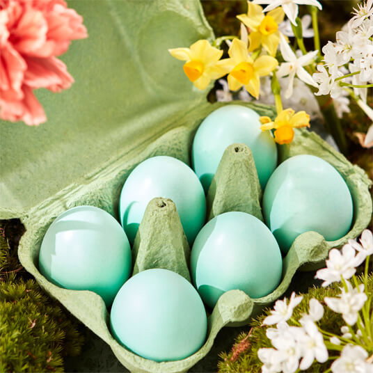 Six Eau de Nil Dark Chocolate Praline Eggs
