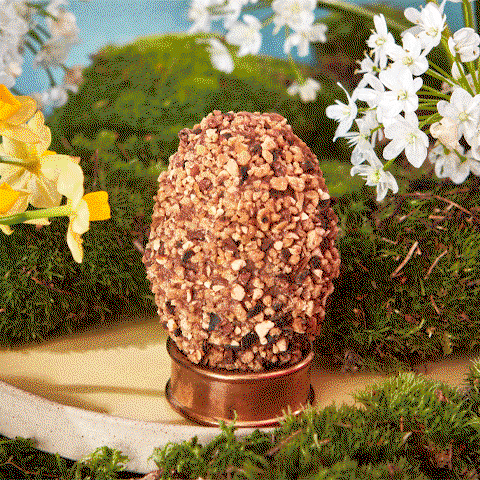 Easter Praline Scotch Egg