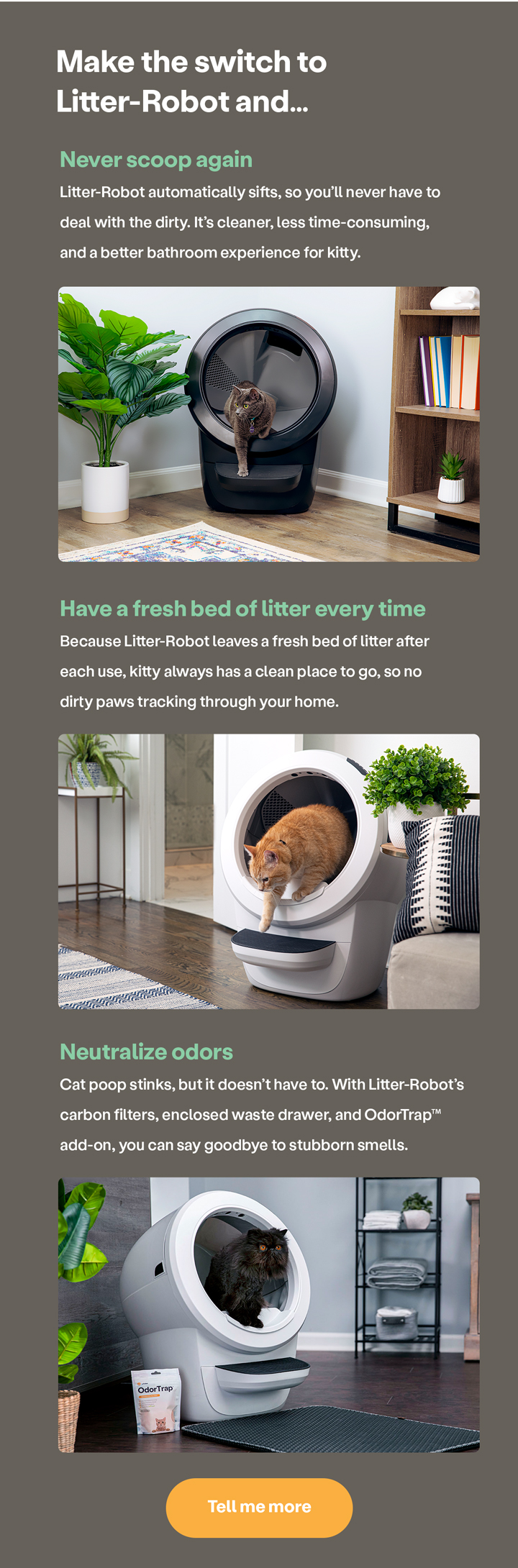 litter.robot Spring clean your litter box Milled