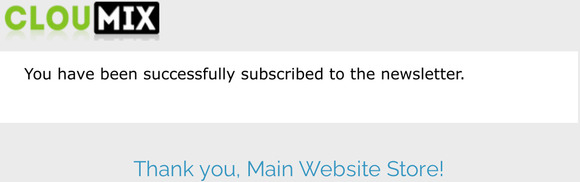 Newsletter subscription success