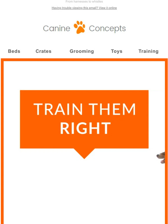 Top products for training your pup