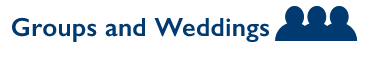 Groups icon
