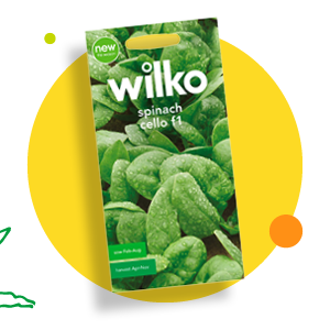 Spinach