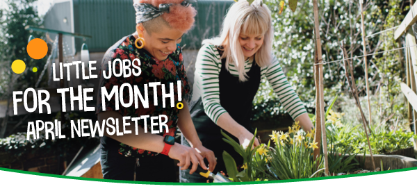 Little jobs for the momth1 April newsletter