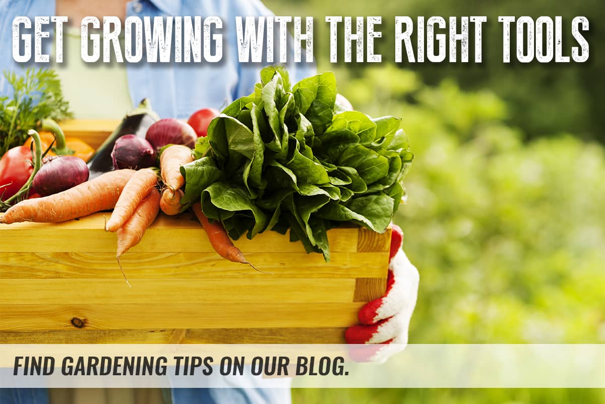 Find gardening tips on our blog.